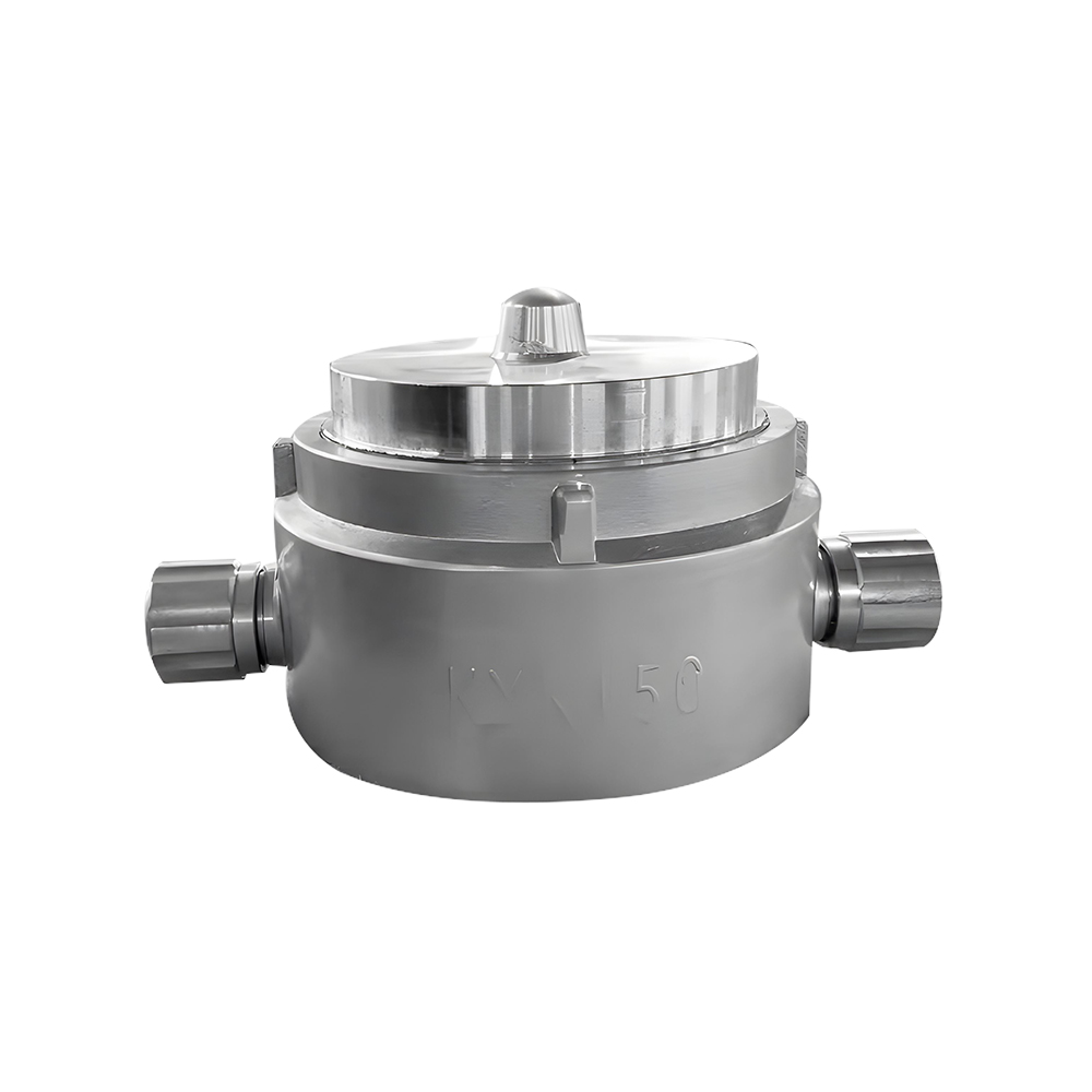 Kadın John Morris boş başlık